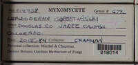 Image Associated With the Occurence
